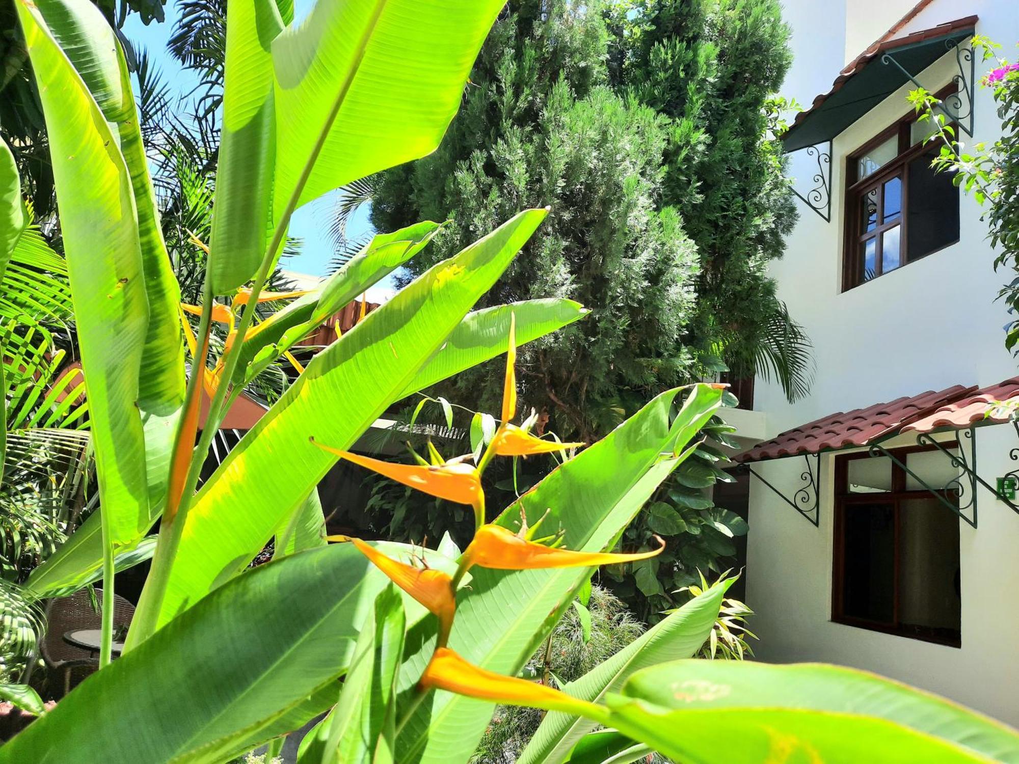 Casa Los Cantaros Hotel Boutique Oaxaca Екстериор снимка