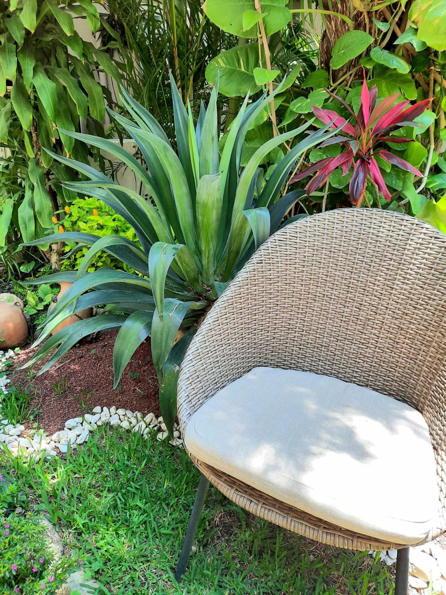 Casa Los Cantaros Hotel Boutique Oaxaca Екстериор снимка